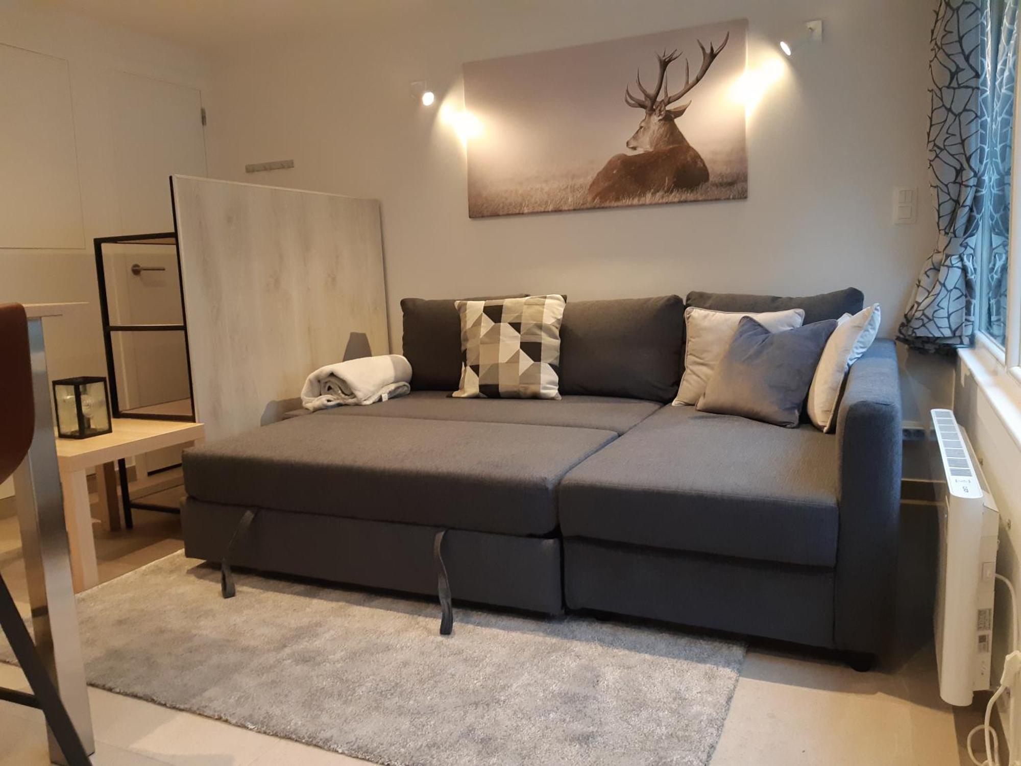 Terrasses De Malmedy F&L Triplex 214 Et Studio 320 Et 317 Et Studio Superieur 340 Rom bilde